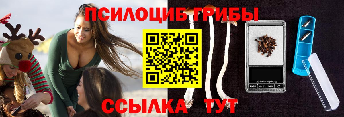 Кумертау  Галлюциногенные грибы Cubensis  Галлюциногенные грибы Psilocybine cubensis  Вход с VPN 